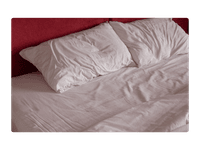 bedbug-services
